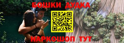 МДПВ Новодвинск