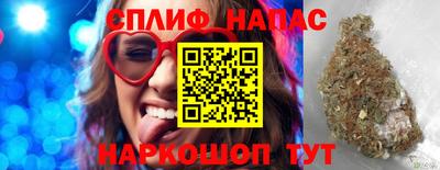 МДПВ Новодвинск