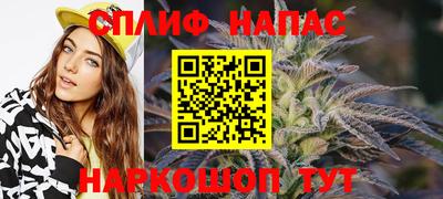 прущие грибы Новокубанск