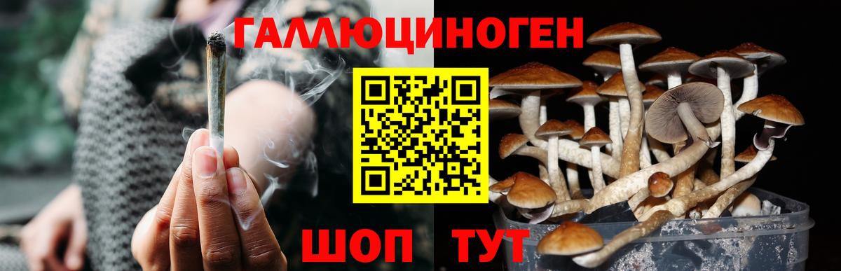 Галлюциногенные грибы мицелий  Псилоцибиновые грибы Psilocybe  Вход с VPN  Ханты-Мансийск 